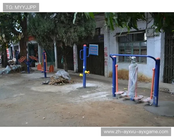 高寒地区健身器材沈阳模式防锈技术突破 高寒地区健身器材沈阳模式防锈技术突破