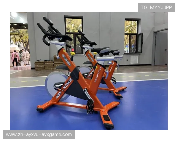 高效解决家用健身器材异响卡顿问题 高效解决家用健身器材异响卡顿问题